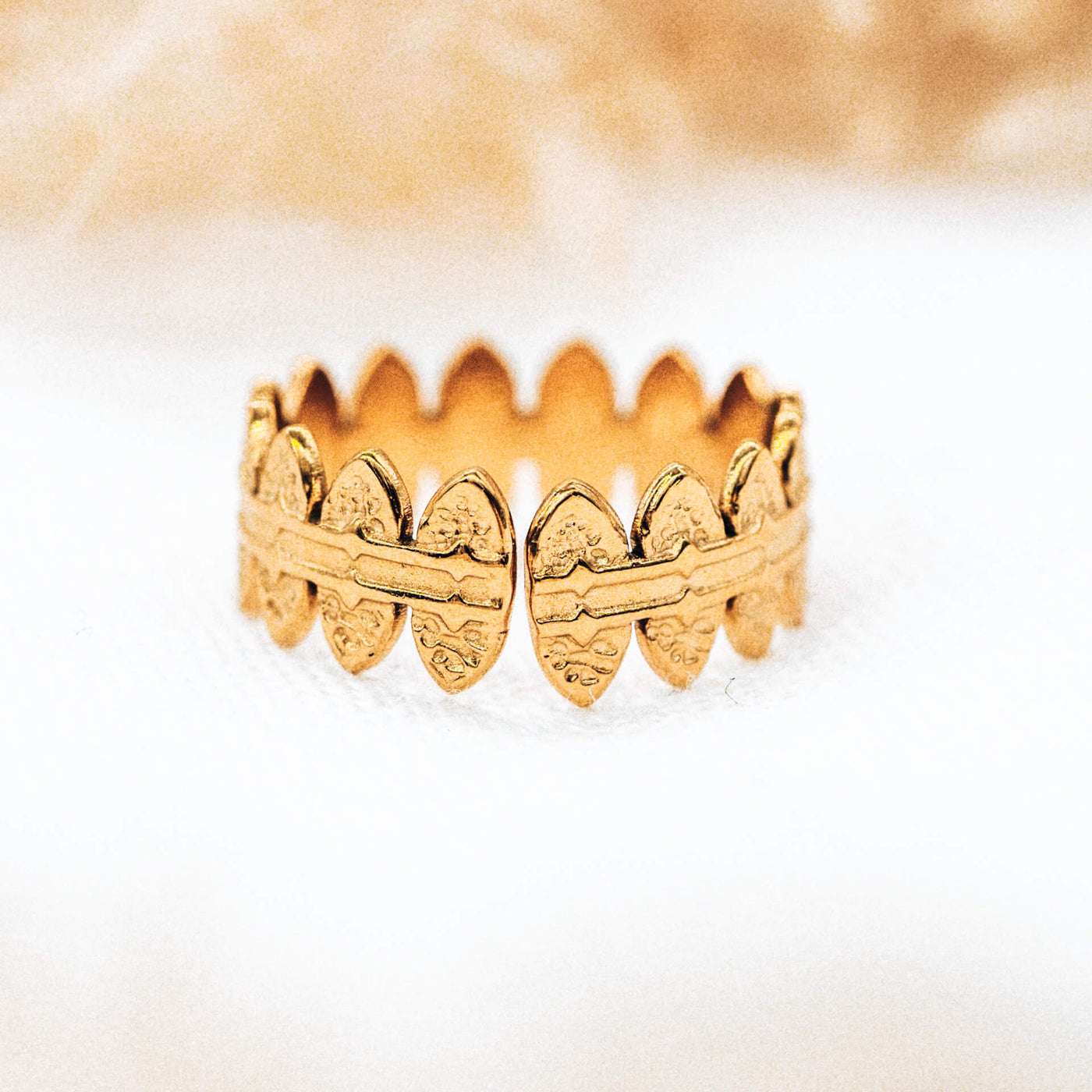 Cliff Coast Ring