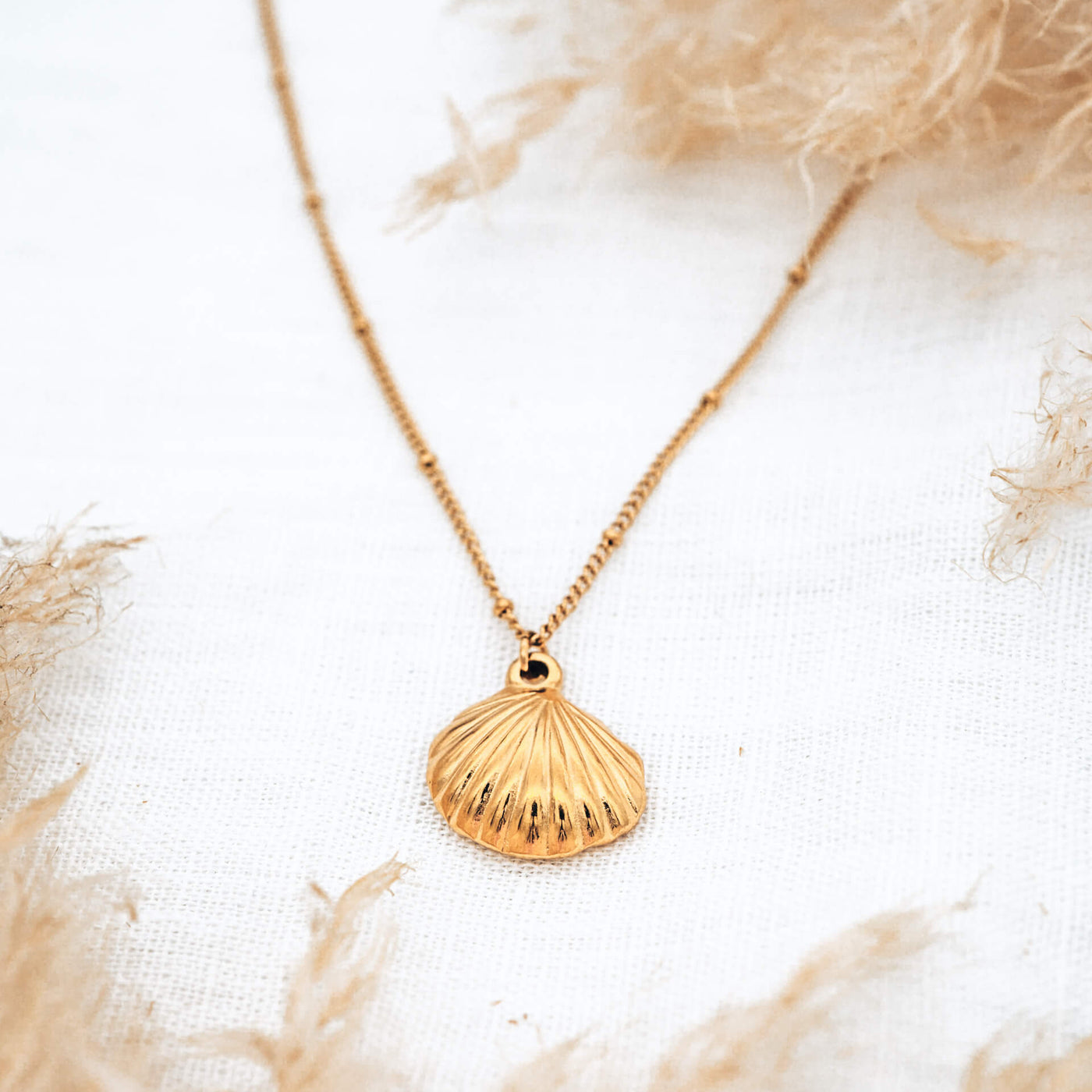 Sea Shell Kette