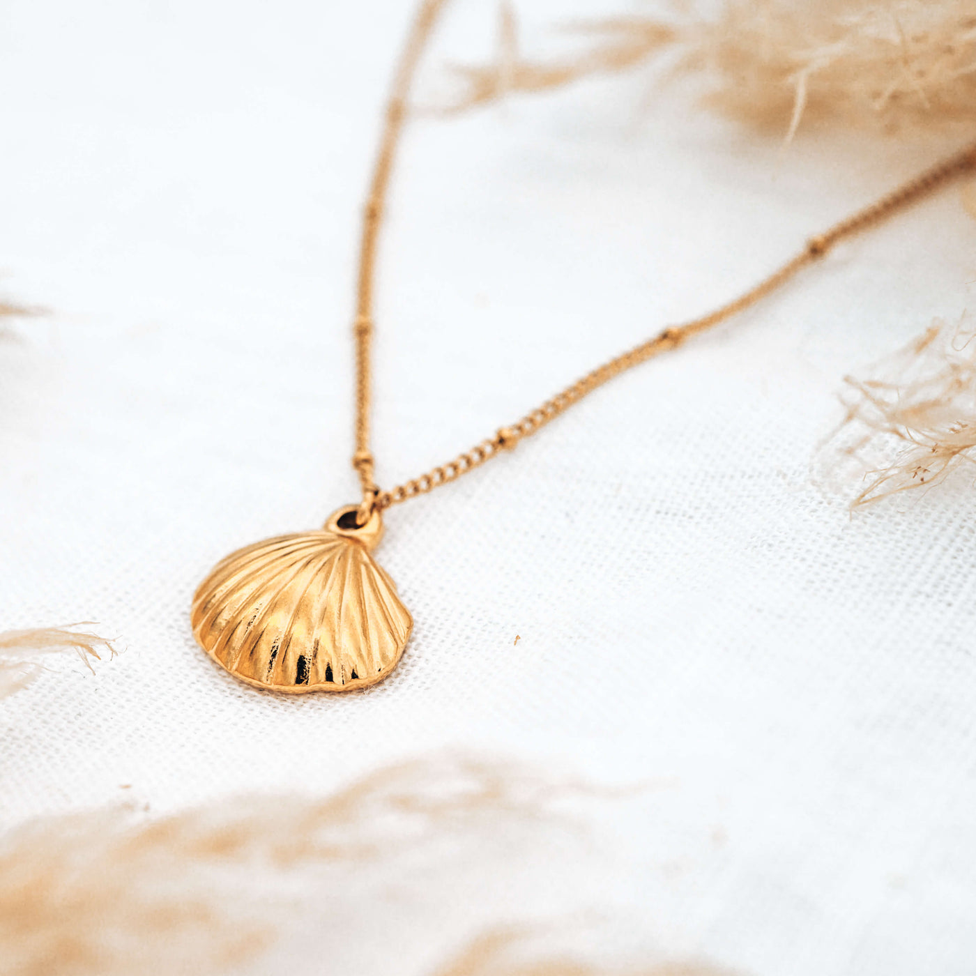 Sea Shell Kette