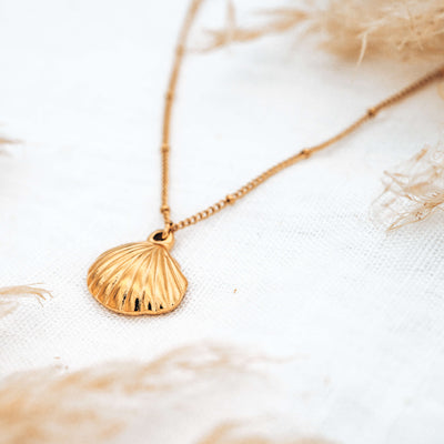 Sea Shell Kette
