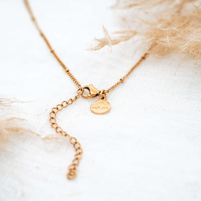 Sea Shell Kette